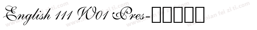 English 111 W01 Pres字体转换